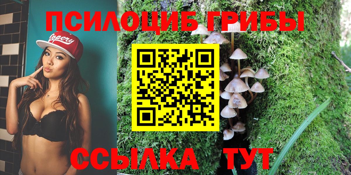 Орехово-Зуево  Галлюциногенные грибы Magic Shrooms  Вход с VPN 